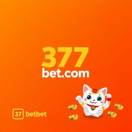 377 bet com